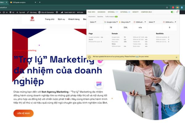 hướng dẫn sử dụng SEOquake